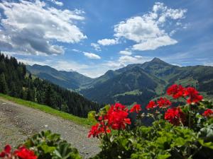 Paesaggio naturale nelle vicinanze della casa vacanze
