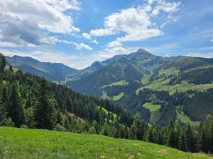 Paesaggio naturale nelle vicinanze della casa vacanze