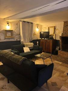 ein Wohnzimmer mit Sofa und Fernseher in der Unterkunft cottage cocon et loft in Villampuy
