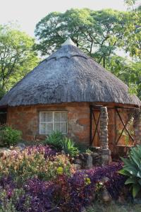 Gallery image of Limerick cottages in Bulawayo
