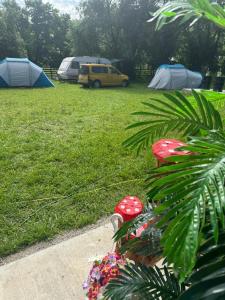Fotografie z fotogalerie ubytování Camping -Dor de Munte -Ceahlau v destinaci Bistricioara