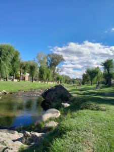 a rock in the grass next to a river at Cabaña Mariza in Trapiche