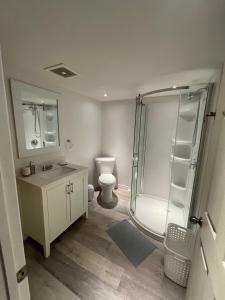 een badkamer met een douche, een toilet en een wastafel bij Le Refuge des Eaux Vives in La Macaza