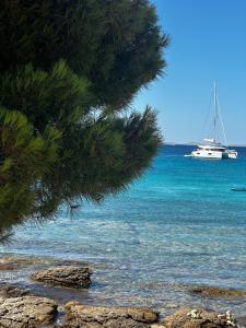 a sail boat in the water with a tree at Palm Blues in Vodice