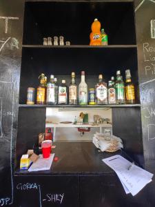 a shelf filled with lots of bottles of alcohol at Surfer's Hostel Siargao in General Luna