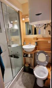 une salle de bain avec toilettes, douche et lavabo dans l'établissement Appartement avec balcon vue montagne à Bellevaux, à Bellevaux