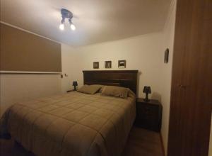 a bedroom with a bed and a ceiling fan at Apartamento cercano a Termas de Chillán in Las Trancas