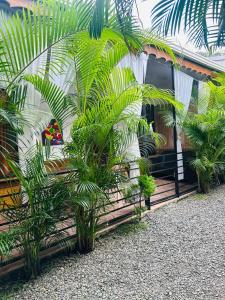a house with palm trees in front of it at Casa Teo número 2 in Puerto Viejo