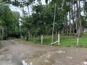 Φυσικό τοπίο κοντά σε αυτό το διαμέρισμα