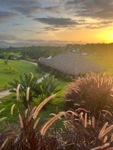 Fotografie z fotogalerie ubytování Margarita Ecovillage v destinaci Miches