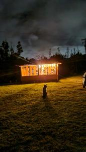Galeriebild der Unterkunft Dante Glamping in Guatavita
