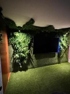 a wall with plants on it with a tv at 360 Oasis cuarto sensorial - Mercado 28 in Cancún