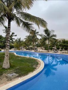 a large blue swimming pool with a palm tree at هوانا ڤيو - Hawana view in Ma‘mūrah