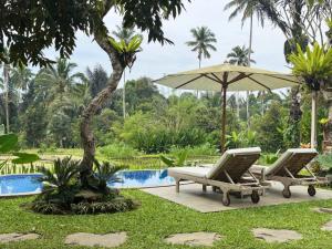 a pair of chairs and an umbrella next to a pool at D'Pondok Sangaji Ricefield View by EPS in Penginyahan
