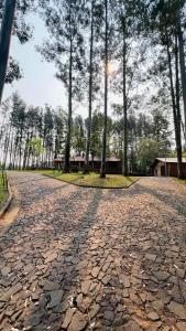 Příroda nedaleko apartmánu