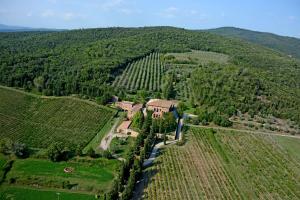 widok z góry na dom w winnicy w obiekcie Agriturismo Villa Buoninsegna w mieście Rapolano Terme