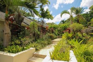 a garden with palm trees and plants at Coral Gables home in Saint James