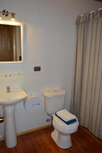ein Badezimmer mit einem weißen WC und einem Waschbecken in der Unterkunft Cabañas Valle del Río in Curacautín
