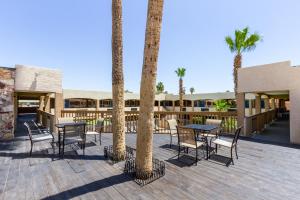 d'une terrasse avec des tables, des chaises et des palmiers. dans l'établissement Motel 6 Glendale AZ, à Glendale