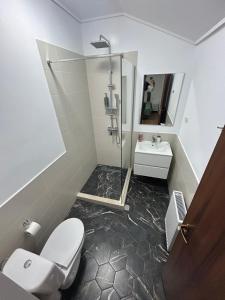 a bathroom with a shower and a toilet and a sink at Vila La Nașu in Techirghiol +20 photos