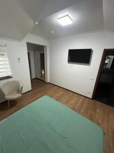 Μια τηλεόραση ή/και κέντρο ψυχαγωγίας στο Vila La Nașu +20 φωτογραφίες