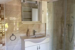 a bathroom with a sink and a shower at Apartments Ema in Podčetrtek +66 photos