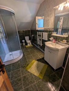 a bathroom with a sink and a shower and a toilet at Vila lui Simion in Rimetea