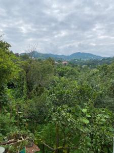 Paesaggio naturale nelle vicinanze della casa vacanze