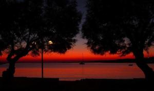 a sunset over a body of water with two trees at Hotel Paros in Parikia