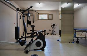 a gym with several tread machines and a mirror at Tsokas Hotel in Finikounta
