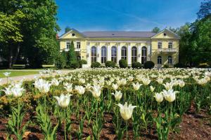 ein Haus mit weißen Tulpen davor in der Unterkunft Piastowski26 in Jelenia Góra