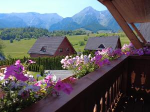 a balcony with flowers on it with mountains in the background at Apartmány Dominek in Ždiar