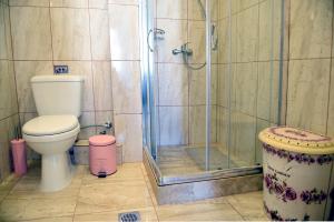イドラにあるKalogiannis Apartments (AcquaBlue & SunnyShades)のバスルーム(トイレ、ガラス張りのシャワー付)