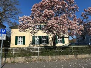 a tree with pink flowers in front of a house at Haus Berlin in Hagen