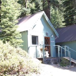 a small blue and white house in the woods at Huntington Lake Resort and Marina in Lakeshore