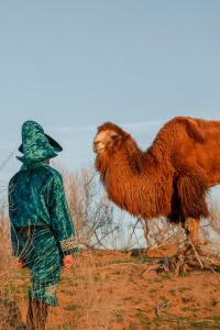 Φωτογραφία από το άλμπουμ του Aidar Yurt Camp σε Taldy