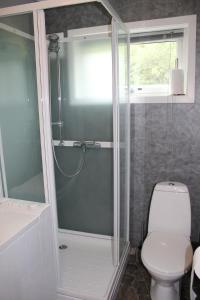 カベルヴォーグにあるApartment in Kabelvågのバスルーム(トイレ、ガラス張りのシャワー付)
