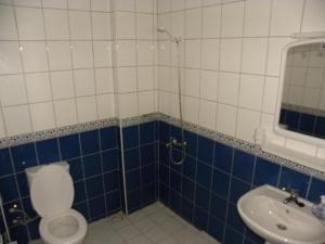 a bathroom with a toilet and a sink at Ada Apart Hotel in Dalyan +11 photos