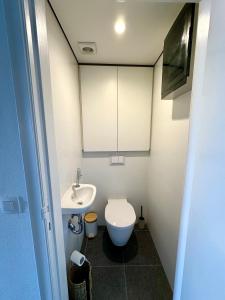 Un baño pequeño con inodoro y lavabo. en K Sunrise, en Ostende