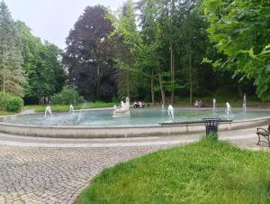 una fuente con fuentes en un parque en Apartament Park Podzamcze, en Olsztyn