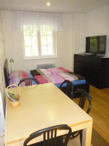 Pokój ze stołem i krzesłami oraz telewizorem w obiekcie Apartment Orbit Karlov P.P. w mieście Malá Morávka