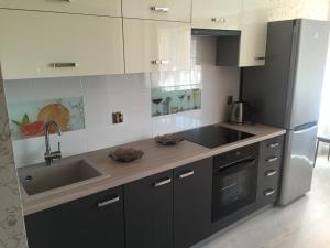 a kitchen with a sink and a refrigerator at Janshevska 7/9 in Liepāja