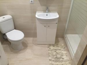 a bathroom with a toilet and a sink at Janshevska 7/9 in Liepāja +6 photos