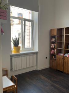 Habitación con ventana, mesa y planta en Kobylianska Apartments, en Chernivtsi