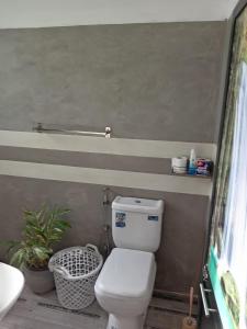 a bathroom with a toilet and a sink at Vibe green villa in Unawatuna