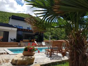 a house with a palm tree and a swimming pool at Villa Obednikovski in Ljubojno