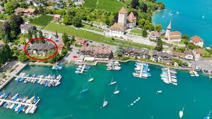 an aerial view of a marina with boats in the water at Buchtoase in Spiez
