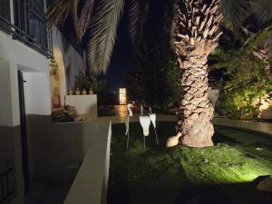 a palm tree in the middle of a yard at night at Like home at the Tehar-Lev family in Eilat