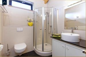 a bathroom with a shower and a toilet and a sink at Ferienhaus Villa Riesling in Zempin
