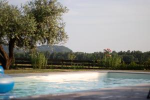 a swimming pool with a tree and a fence at Valrosa Country Resort in Vencò